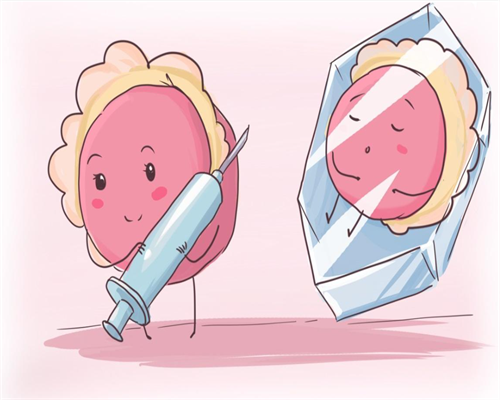 代孕公司成功率,兰州试管助孕生子助孕机构多少钱_正规三代试管机构