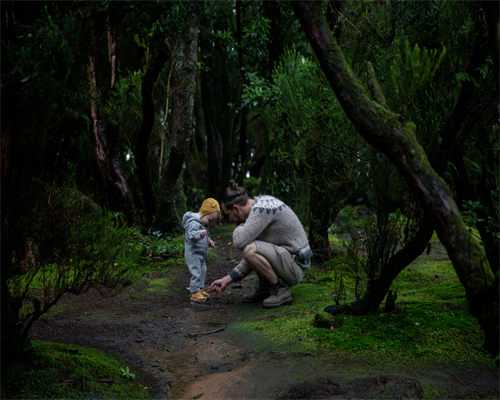 如何选择合适的叶酸补充剂与助孕考量