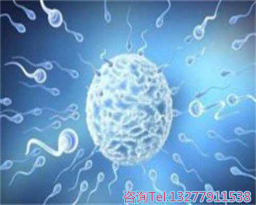 成都地区试管婴儿医院成功率揭秘：热门机构与供卵选择一览