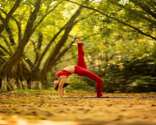 找代孕去哪家医院,全程干货|北京助孕做试管婴儿_添好试管助孕中心