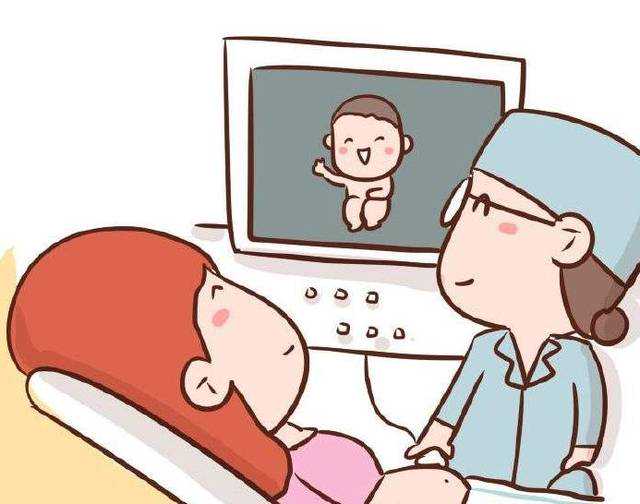 成都我要宝宝代孕公司,成都试管婴儿囊胚培养的过程是怎样的？