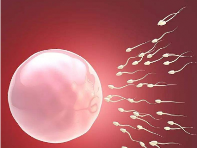 代怀男宝_在嘉峪关助孕试管婴儿中为什么要重视输卵管积水？